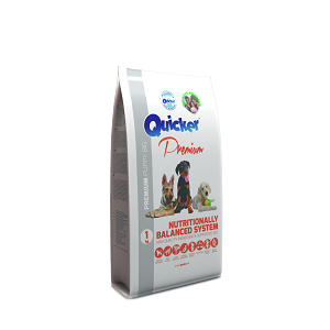 Mancare uscata pentru caini Quiker Premium Puppy Big 1 kg