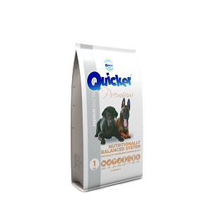Mancare uscata pentru caini Quiker Premium Adult Big  1 kg