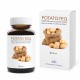 Biofortificant imunostimulator pentru cartofi in camp si in spatii inchise POTATO.TEQ  (doza pentru 5000 mp - vol. 120 ml)