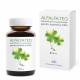 Biofortificant imunostimulator pentru lucerna si trifoi ALFALFA.TEQ (doza 1 ha - vol. 120 ml)