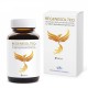 Bioactivator flora microbiana benefica cu efect dezinfectant pentru sol Regenesol. TEQ (doza pentru 100 mp - vol. 120 ml), Chromosome