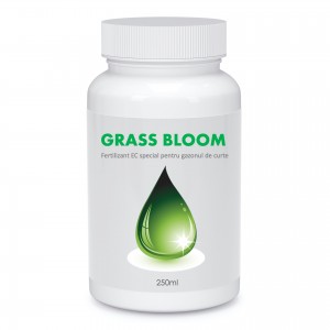 Fertilizant EC special pentru gazonul din curte, Grass Bloom, 250 ml, SemPlus