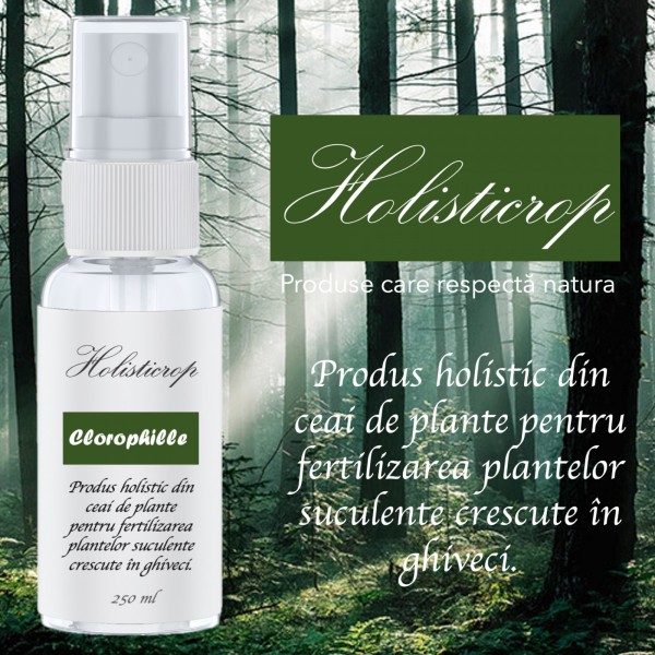 Produs holistic pentru fertilizarea plantelor suculente crescute in ghiveci Clorophille, 250 ml, SemPlus