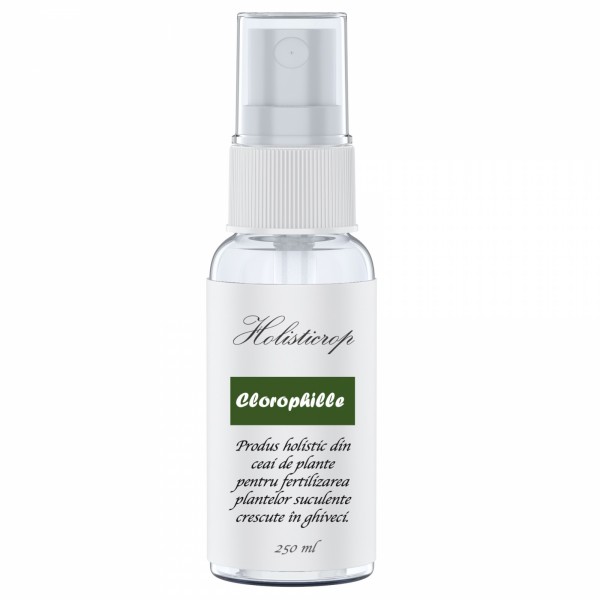 Produs holistic pentru fertilizarea plantelor suculente crescute in ghiveci Clorophille, 250 ml, SemPlus