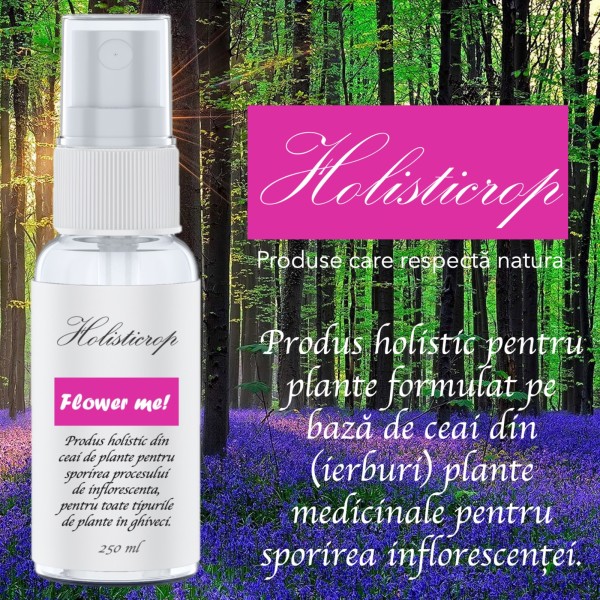 Produs holistic pentru sporirea inflorescentei plantelor crescute in ghiveci Flower Me, 250 ml, SemPlus