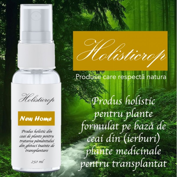 Produs holistic pentru transplantat (plantat in ghiveci nou) New Home, 250 ml, SemPlus
