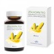 Biofortificant imunostimulator pentru cultura de porumb ZEA KORN.TEQ (doza pentru 1 ha - vol. 120 ml), Chromosome