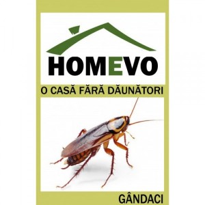 Insecticid gel pentru combaterea gandacilor, 5 grame, Homevo