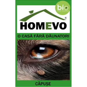 Pulbere bio impotriva capuselor, 50 grame, Homevo