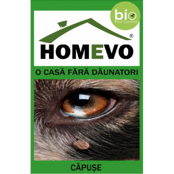 Pulbere bio impotriva capuselor, 50 grame, Homevo