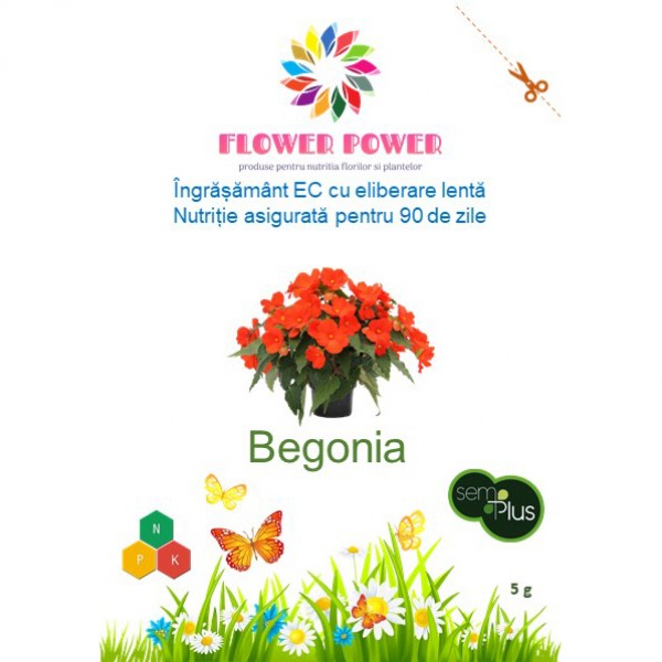 Ingrasamant Flower Power pentru begonia cu eliberare lenta, efect 90 zile, 5 grame, SemPlus