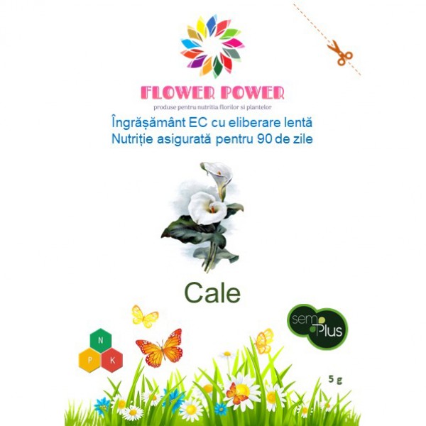Ingrasamant Flower Power pentru cala cu eliberare lenta, efect 90 zile, 5 grame, SemPlus