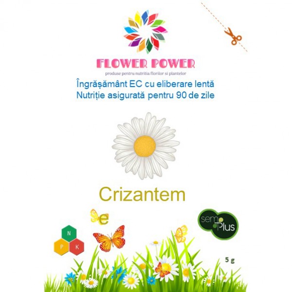 Ingrasamant Flower Power pentru crizanteme cu eliberare lenta, efect 90 zile, 5 grame, SemPlus