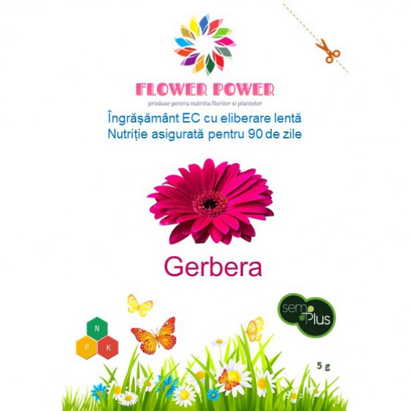 Ingrasamant Flower Power pentru gerbera cu eliberare lenta, efect 90 zile, 5 grame, SemPlus