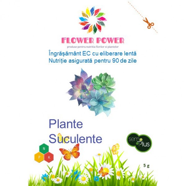 Ingrasamant Flower Power pentru plante suculente cu eliberare lenta, efect 90 zile, 5 grame, SemPlus