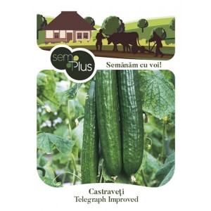 Seminte de castraveti Telegraph, 0,3 grame, SemPlus