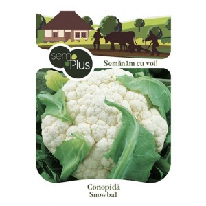 Seminte de conopida Snowball, 1 gram, SemPlus
