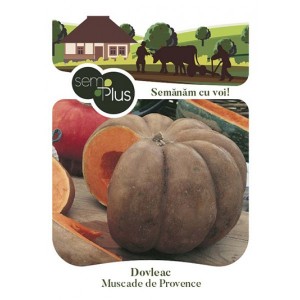 Seminte de dovleac Muscade de Provence, 1,5 grame, SemPlus