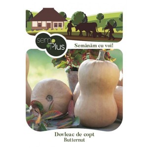 Seminte de dovleac de copt Butternut, 1,5 grame, SemPlus