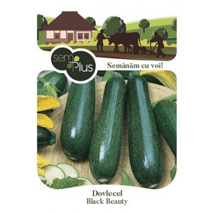 Seminte de dovlecel Black Beauty, 4 grame, SemPlus