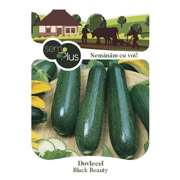 Seminte de dovlecel Black Beauty, 4 grame, SemPlus