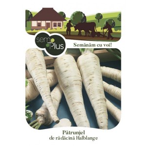 Seminte de patrunjel pentru radacina Halblange, 5 grame, SemPlus