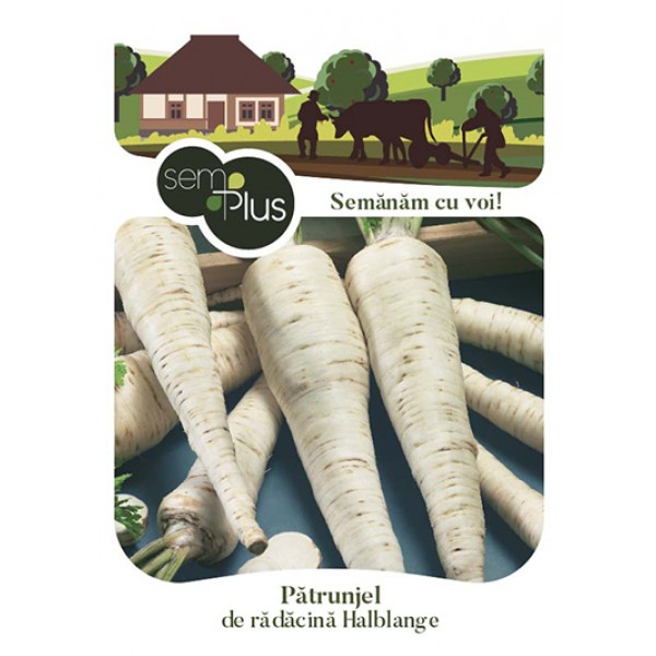 Seminte de patrunjel pentru radacina Halblange, 5 grame, SemPlus