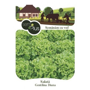 Seminte de salata Gentilina, 1 gram, SemPlus