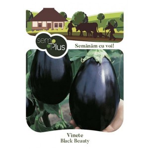 Seminte de vinete Black Beauty, 1 gram, SemPlus