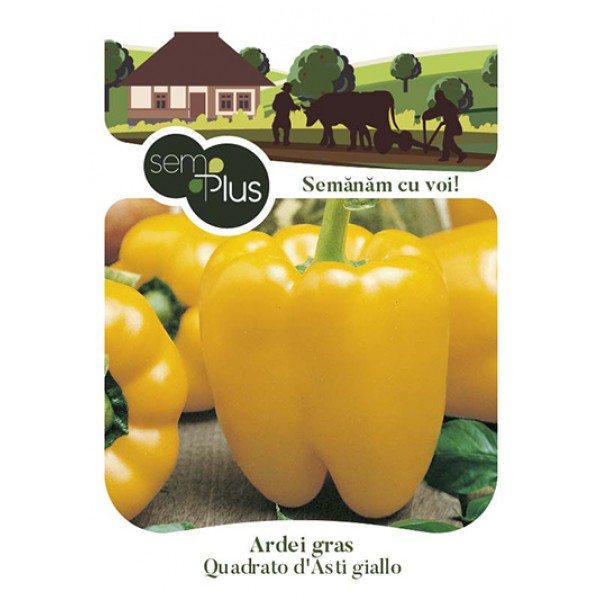Seminte de ardei gras Quadrato D asti Giallo, 0,8 grame, SemPlus