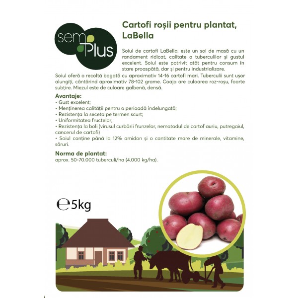 Cartofi rosii pentru samanta, soi Labella, clasa B, 5 Kg, SemPlus