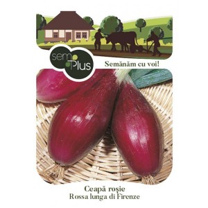 Seminte de ceapa rosie Rossa lunga de Firenze, 1,5 grame, SemPlus