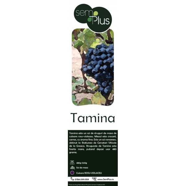 Butasi de vita de vie, Tamina, 1 bucata, SemPlus